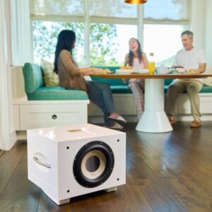 8.AVStore-REL-Acoustics-S-550-Lifestyle-White.jpg