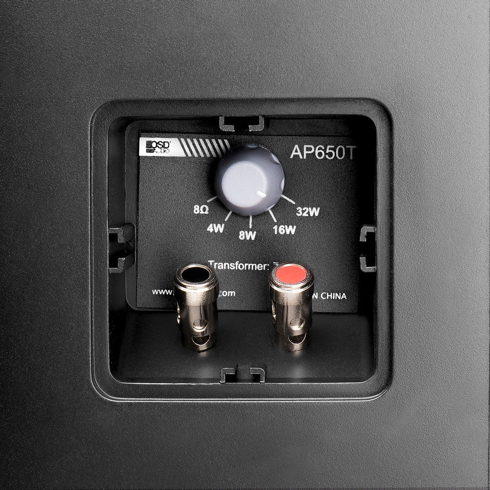 AP650T-4.jpg