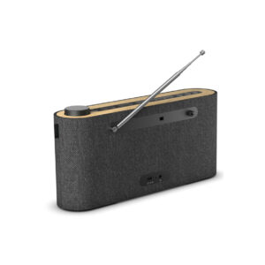 Loewe-Radio02.jpg