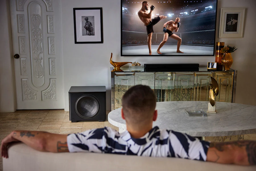 Bose Installation Services in Delhi